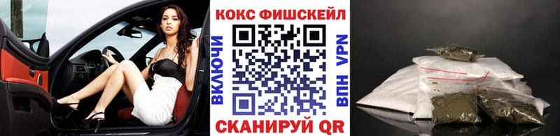 купить закладку  Грозный  Cocaine 98% 