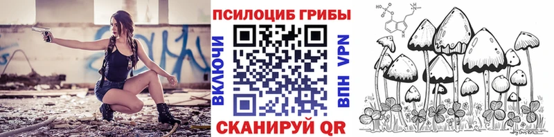 Псилоцибиновые грибы Cubensis  гидра вход  Грозный 